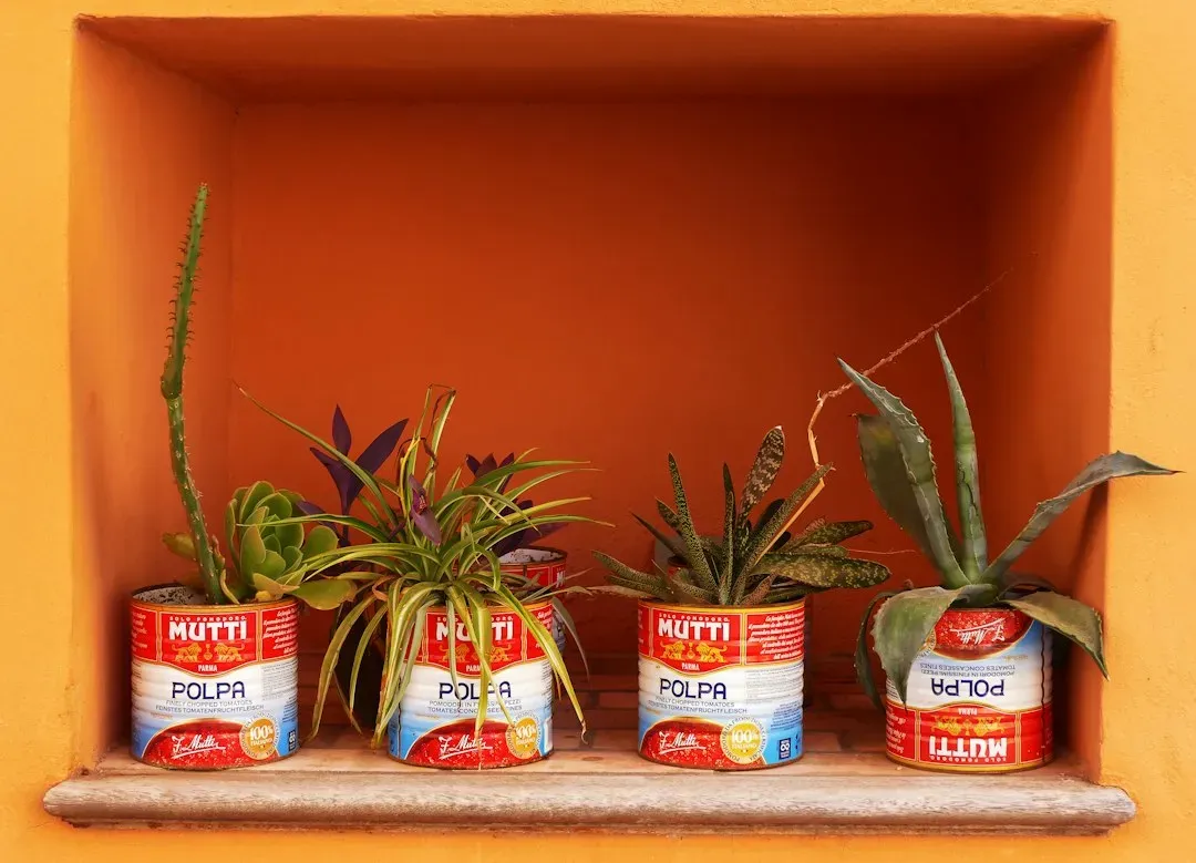 Tin Cans as Planters and Pencil Cups (Image Credits: Unsplash)