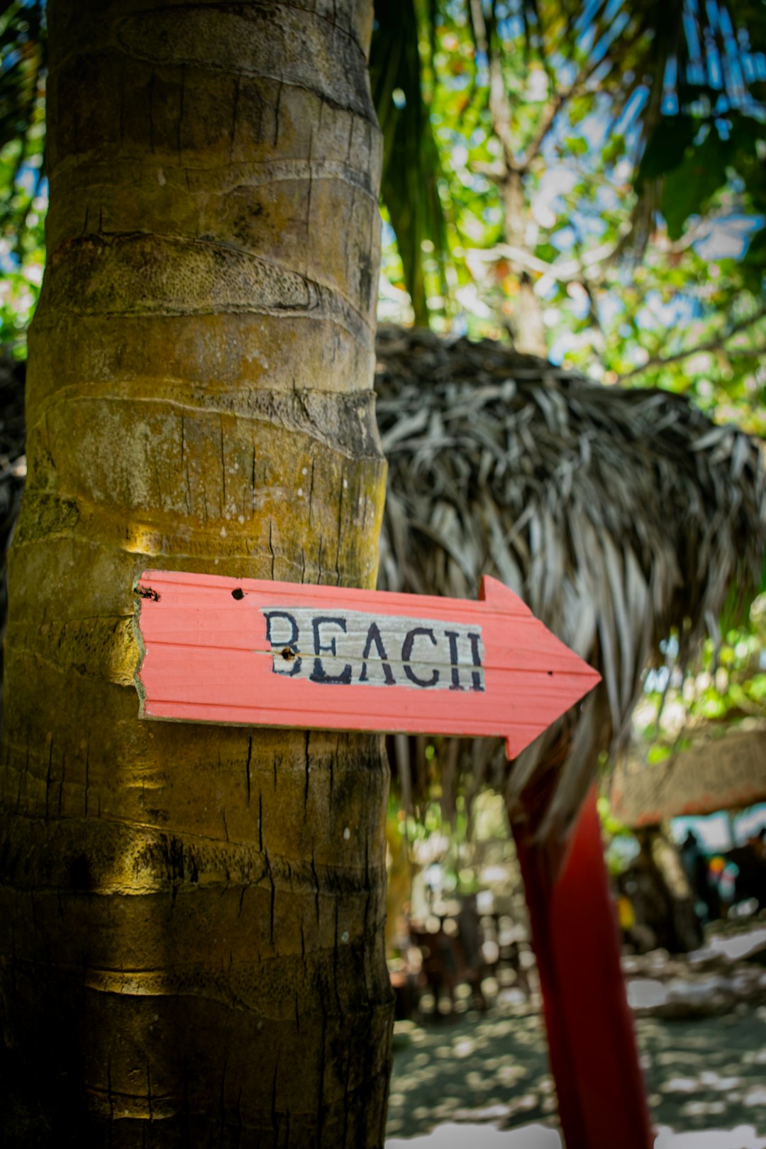 Tulum: From Eco-Chic to Overtourism Nightmare (image credits: unsplash)