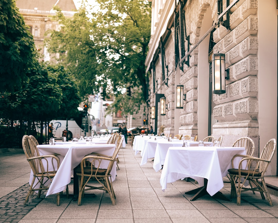 European Solo Patterns: A Continental Divide (Image Credits: Unsplash)