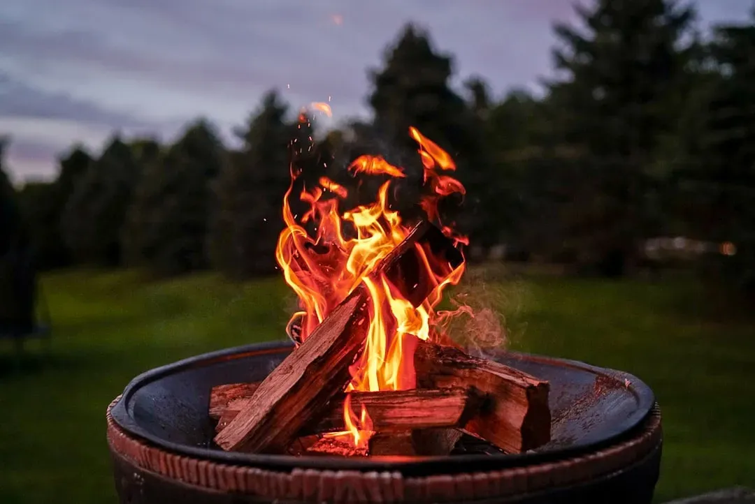 3. Backyard Fire Pits (Image Credits: Unsplash)