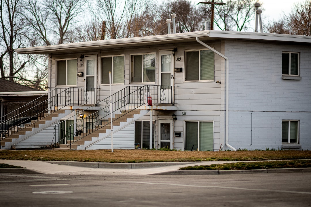 United States: The American Dream Under Siege (image credits: unsplash)
