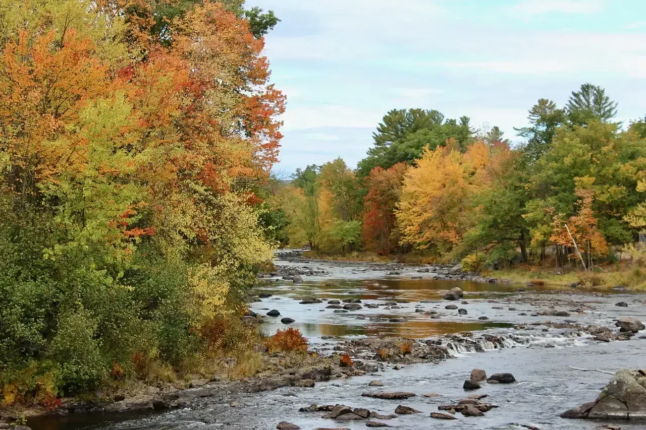 New Hampshire: The Granite State With Golden Perks (Image Credits: Pixabay)