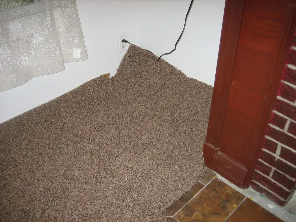 2. Installing New Wall-to-Wall Carpet (Image Credits: Flickr)