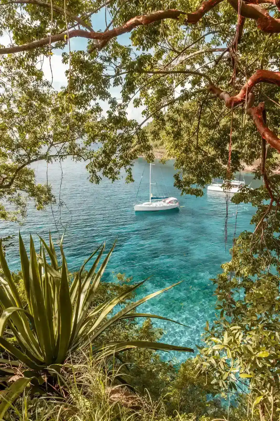 Martinique: Caribbean France With Volcanic Drama (Image Credits: Unsplash)