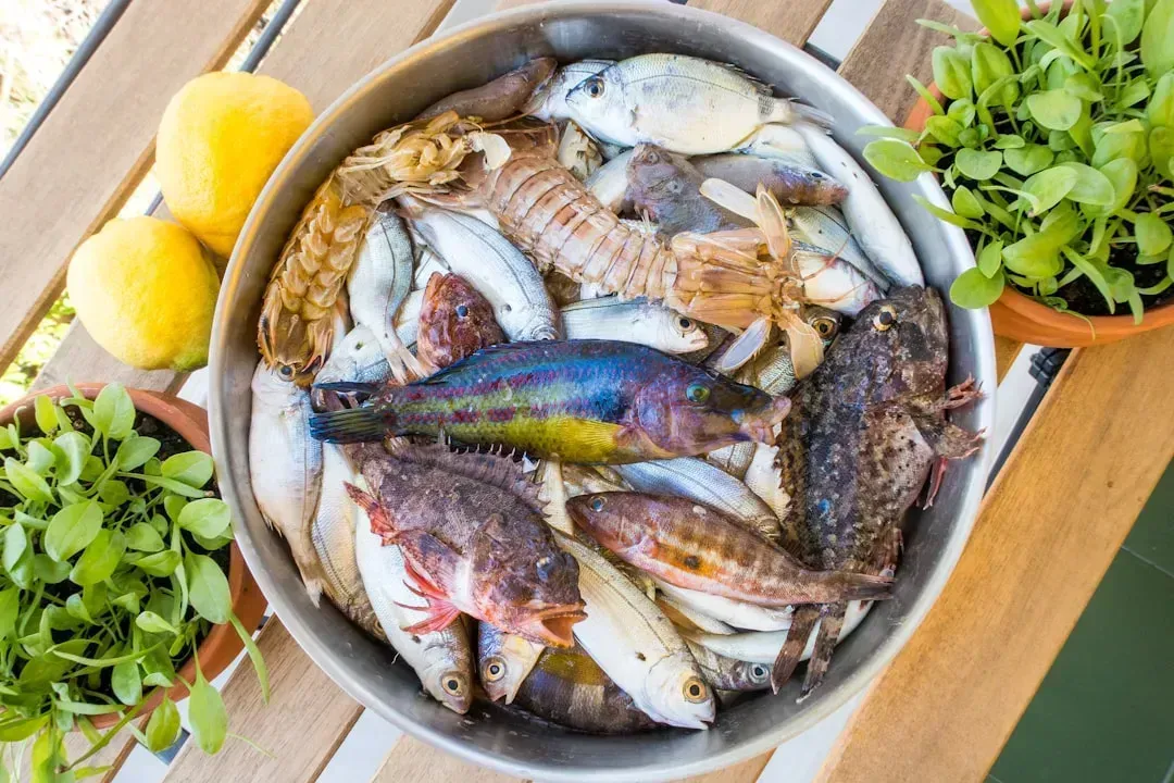 7. Cooked Fish and Shellfish (Image Credits: Unsplash)