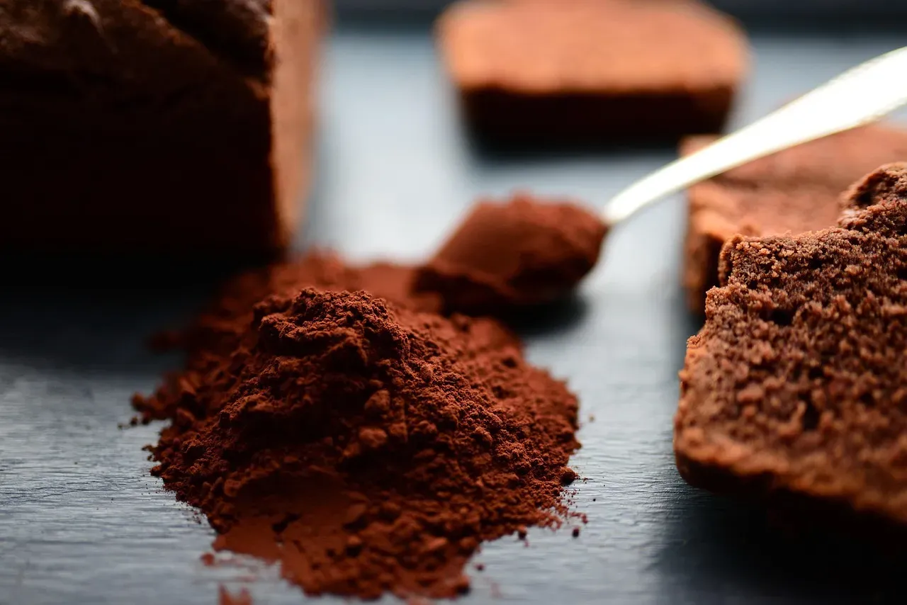 8. Cocoa Powder (Image Credits: Pixabay)