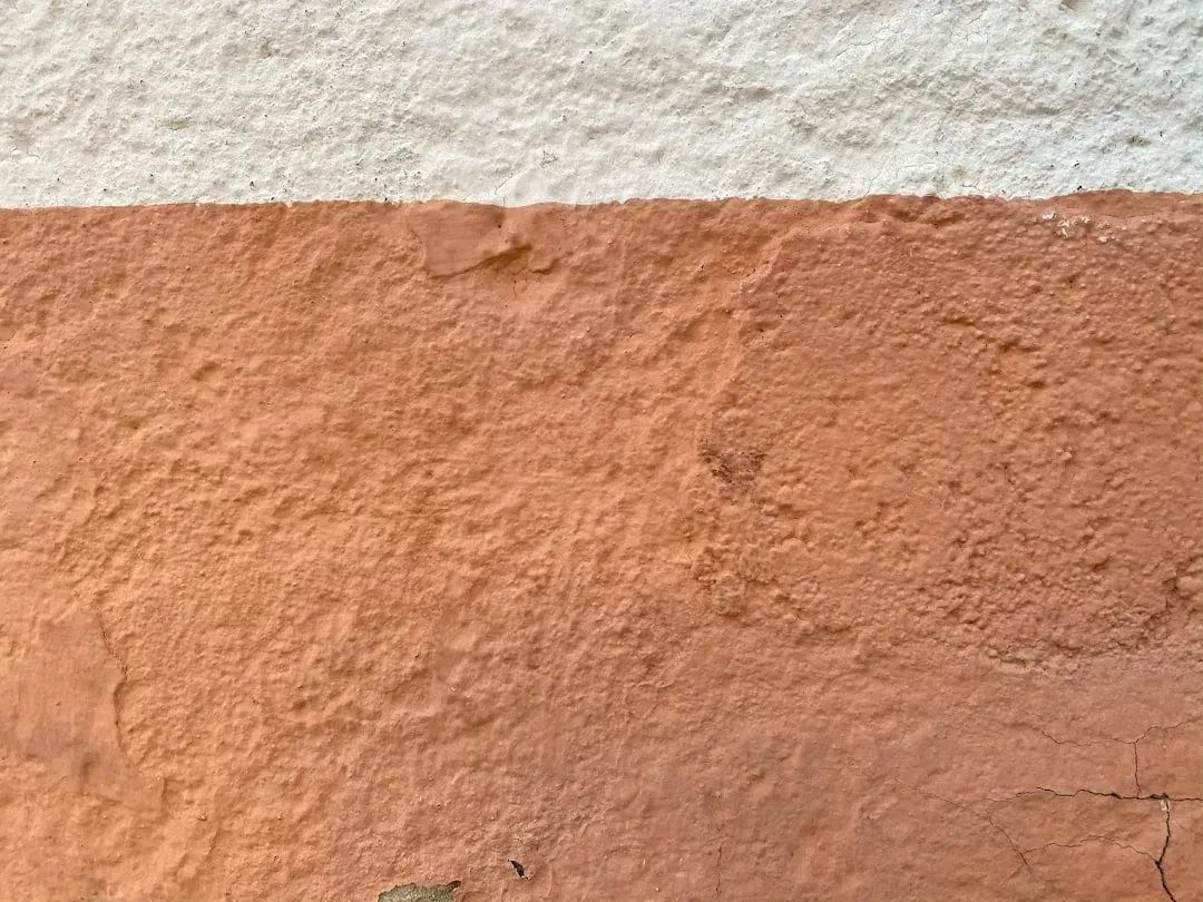 Textured Accent Walls (Image Credits: Unsplash)
