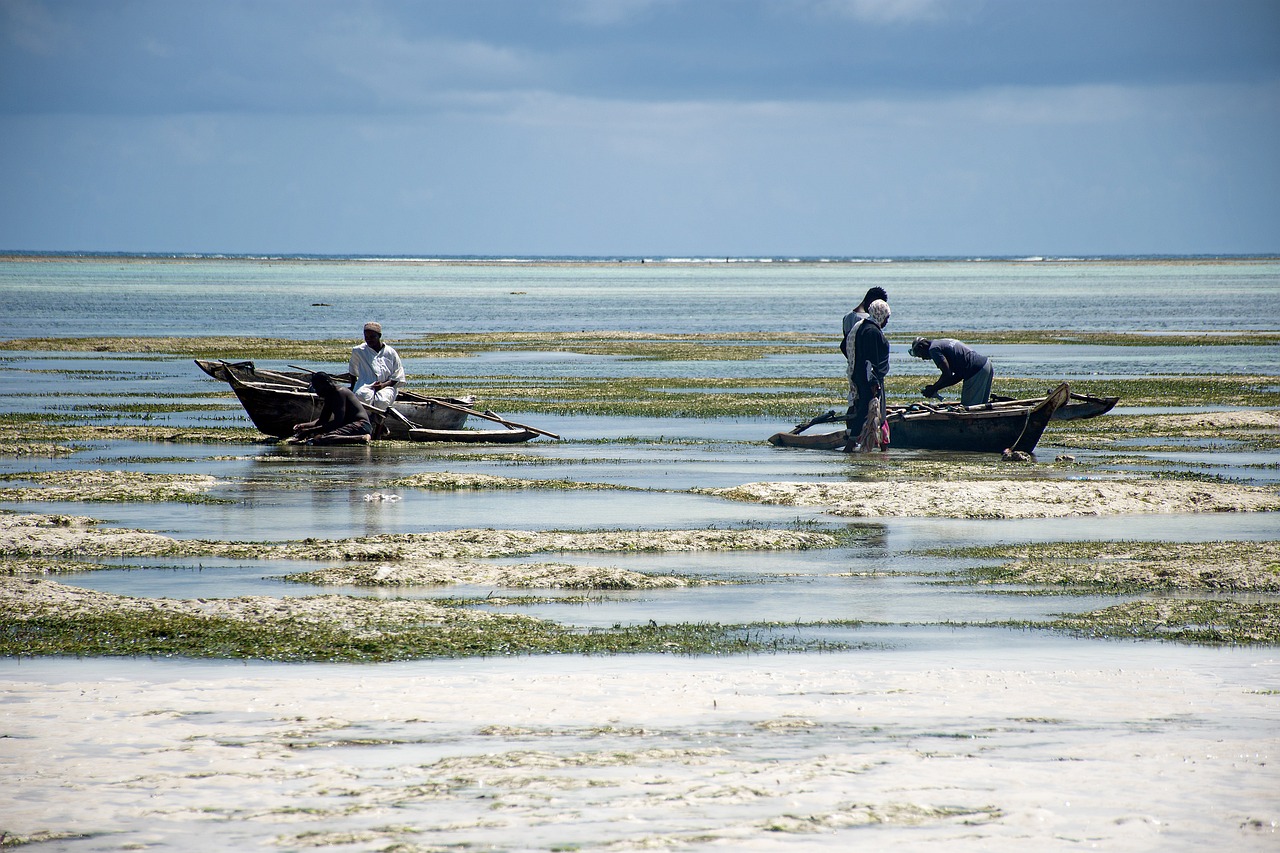 Beyond the Tourist Trail (Image Credits: Pixabay)
