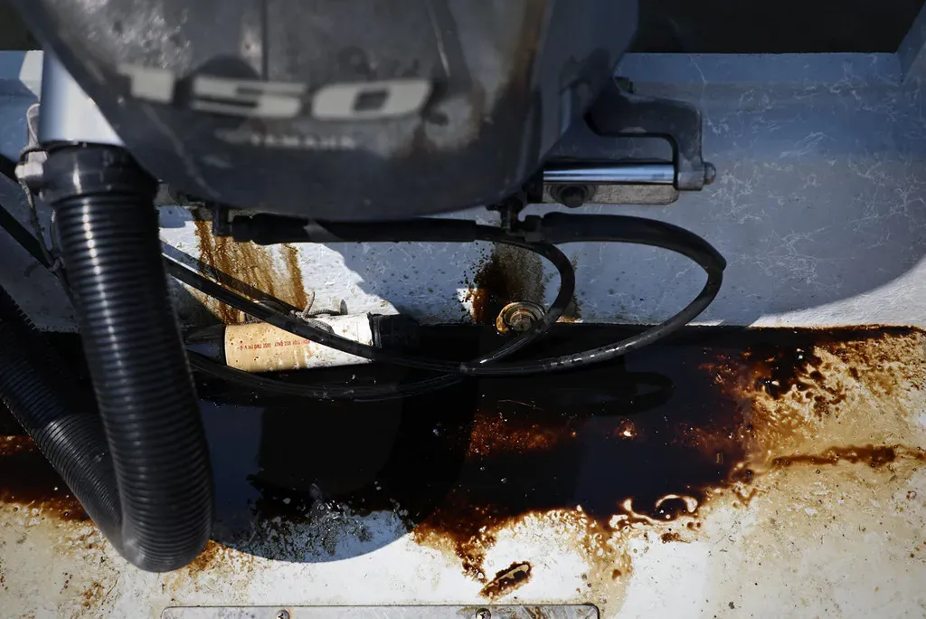 Motor Oil and Automotive Fluids (Image Credits: Flickr)