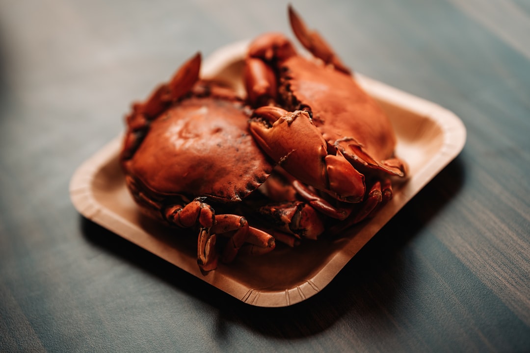 Quality Crab Cakes - A Seafood Surprise Winner (image credits: unsplash)