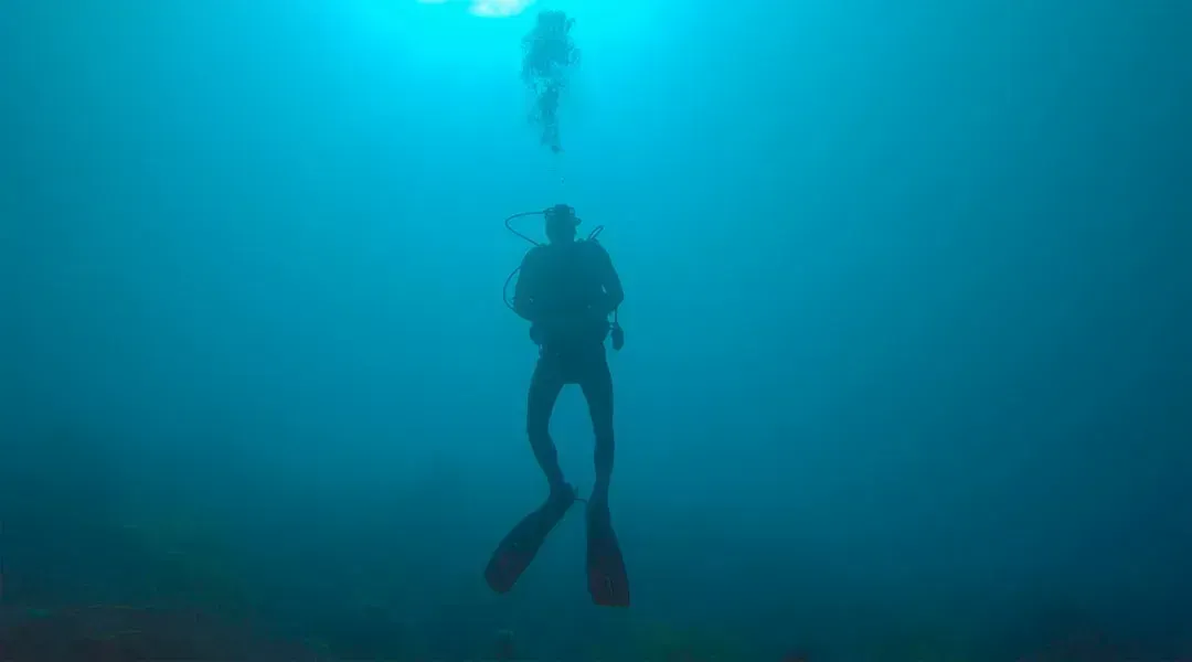Bonaire: The Diver's Paradise Outside the Hurricane Belt (Image Credits: Unsplash)