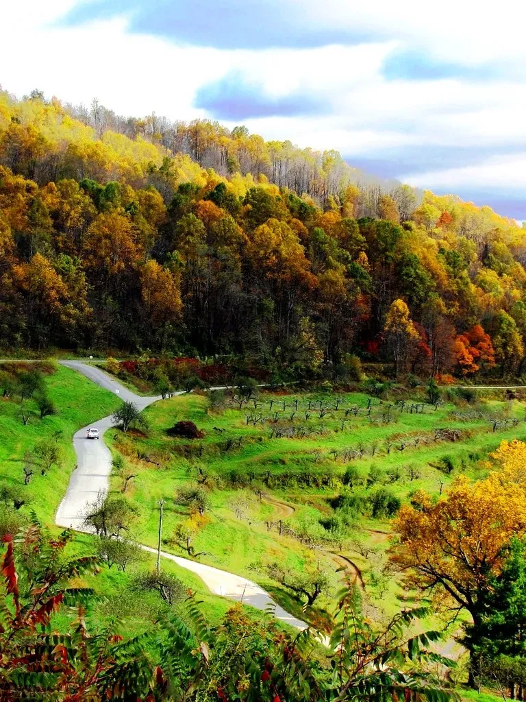 North Carolina: The Halfback Haven (Image Credits: Flickr)