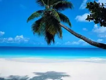 Hawaii Takes the Top Spot (Image Credits: Flickr)