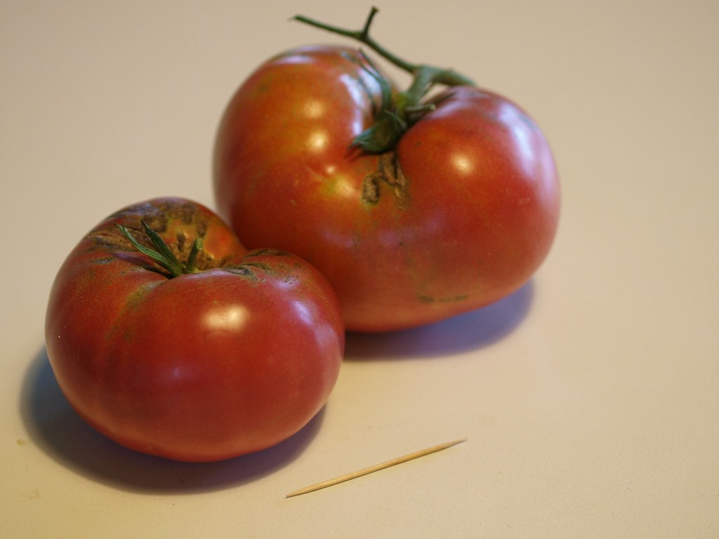 Mortgage Lifter Tomatoes: Depression-Era Nutritional Powerhouse (Image Credits: Flickr)