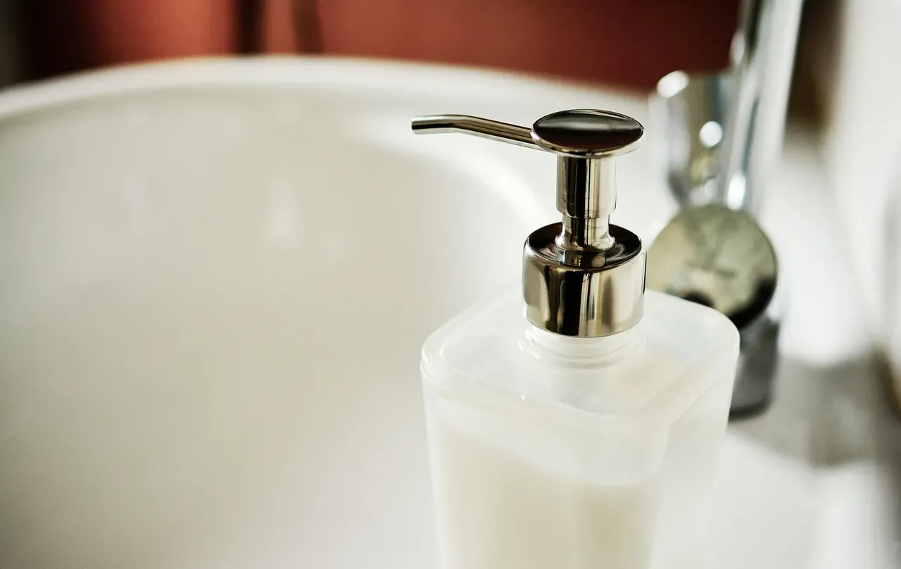 They Schedule Short Focused Cleaning Sessions (Image Credits: Pixabay)