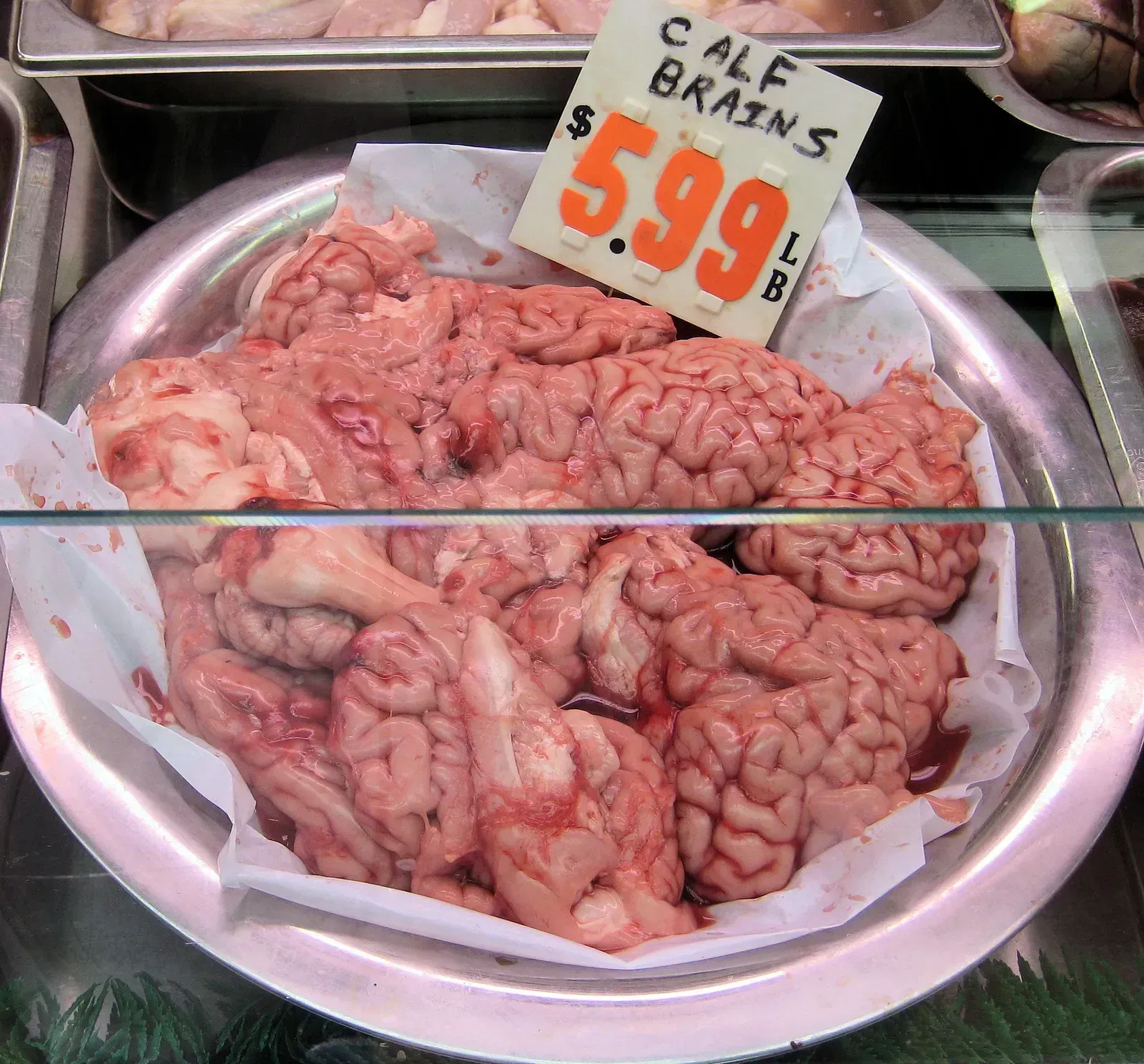 Cow Brains (Image Credits: Wikimedia)