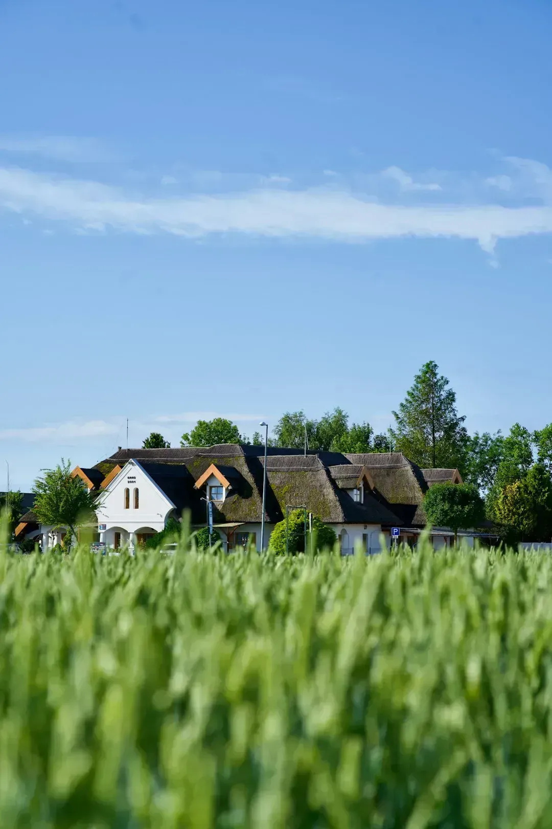 Fences Built Without Proper Surveys (Image Credits: Unsplash)