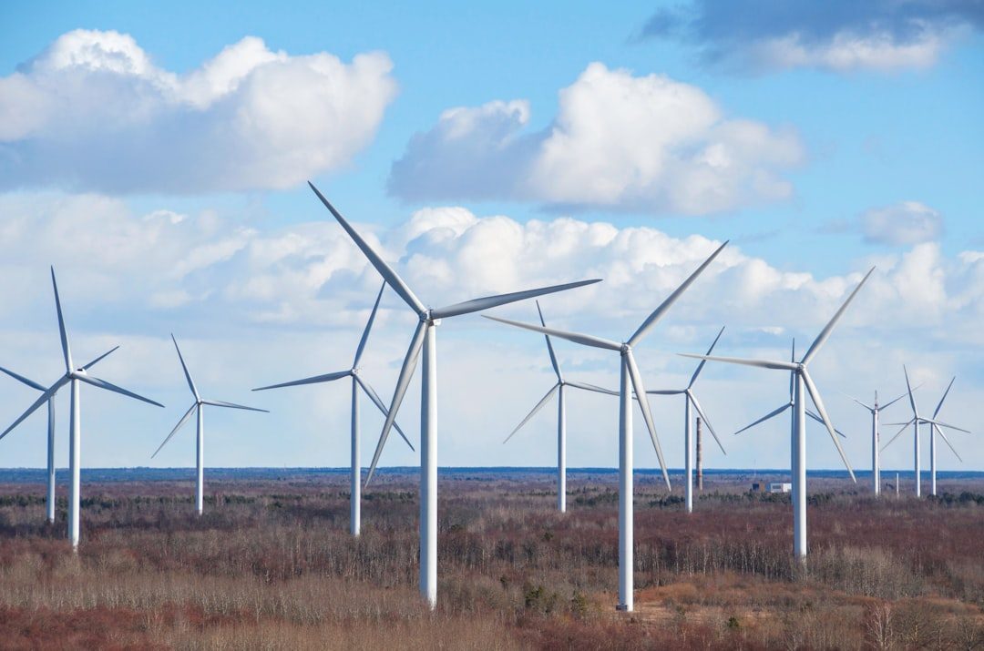 Estonia: The Surprising Baltic Leader (Image Credits: Unsplash)