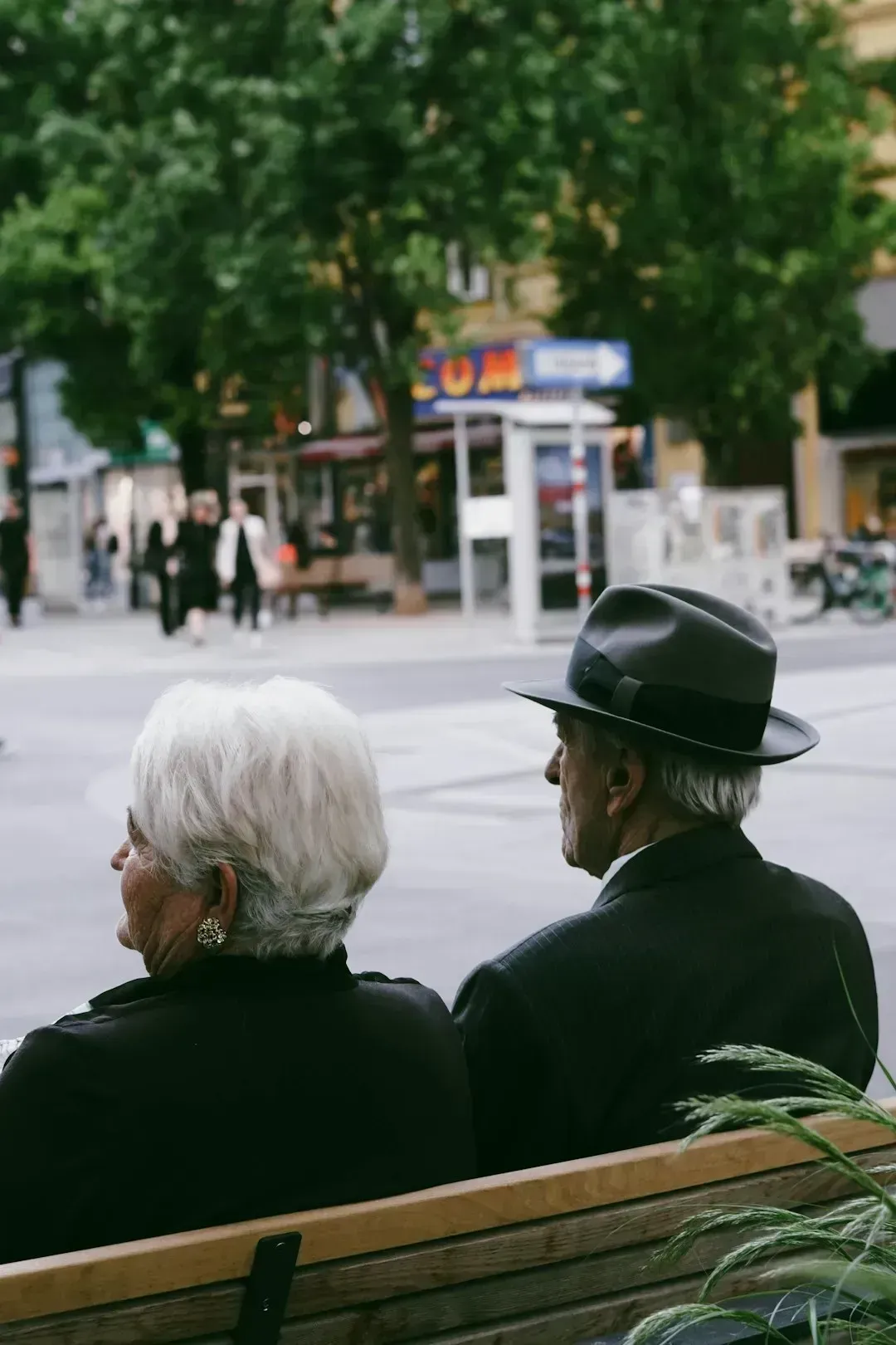 Wealth Growth by Age Demographics (Image Credits: Unsplash)