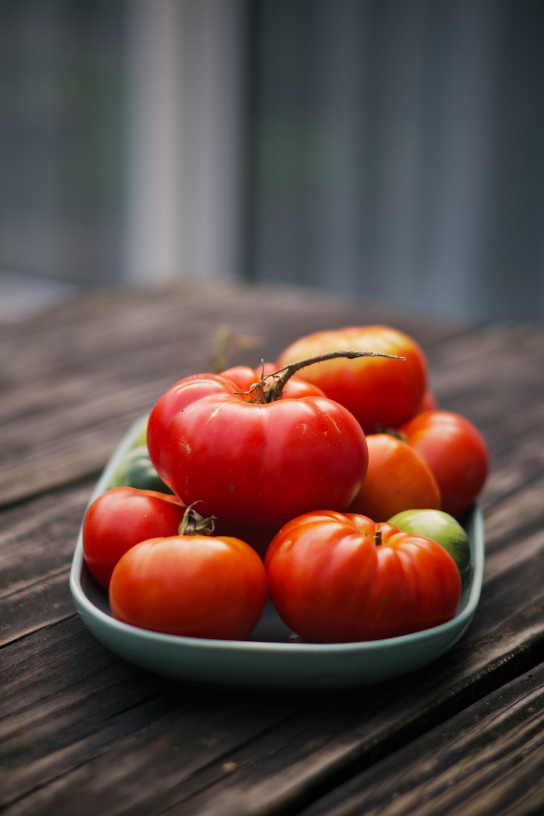 Tomatoes - Keep Them Sun-Kissed (image credits: unsplash)