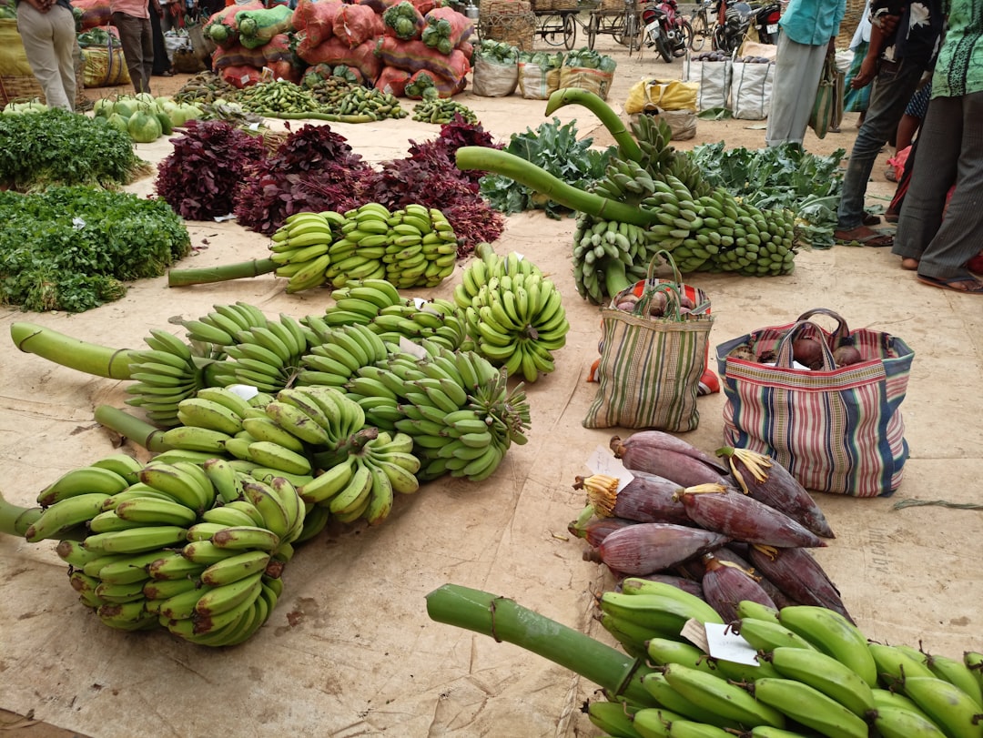 Kenya's Food Security Challenges (Image Credits: Unsplash)