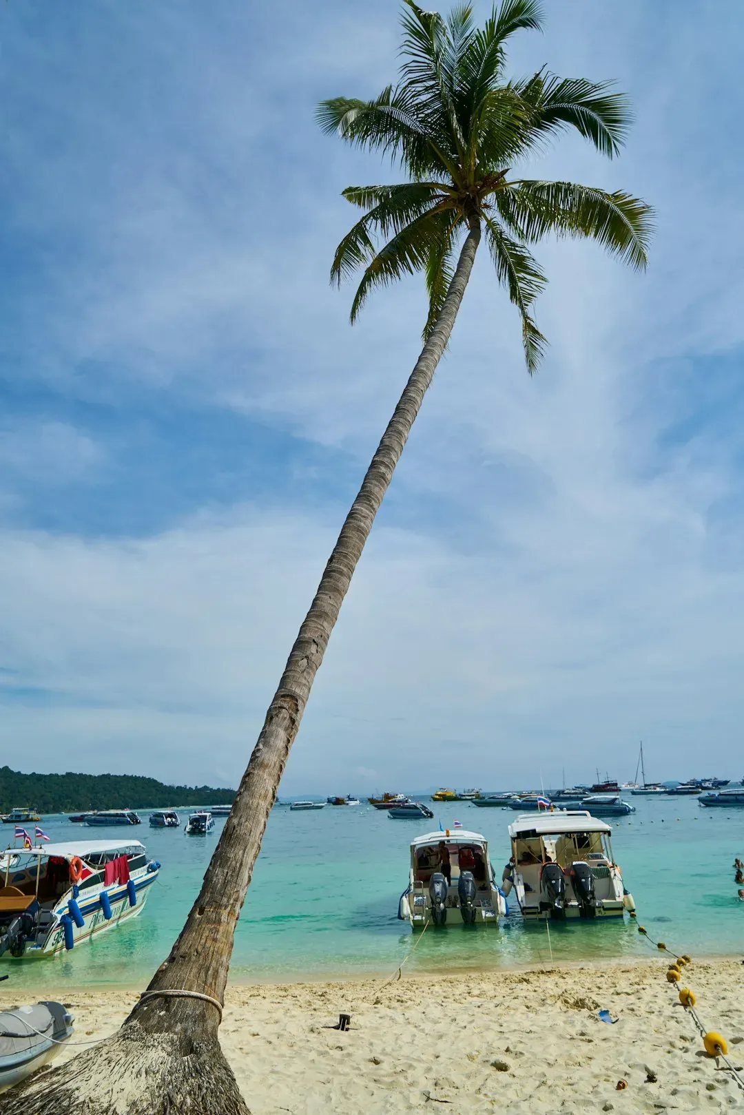 Thailand's Tropical Warmth and Medical Tourism Appeal (Image Credits: Unsplash)