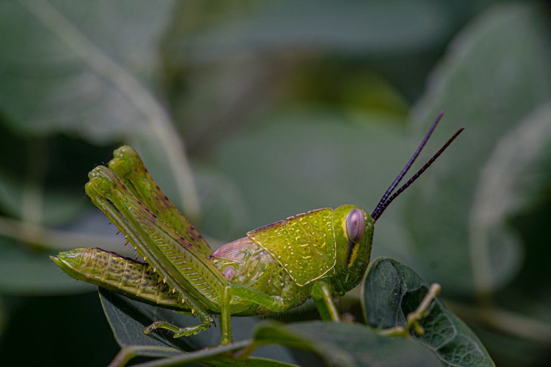 Environmental Crisis Drives Urgent Policy Shifts (Image Credits: Unsplash)