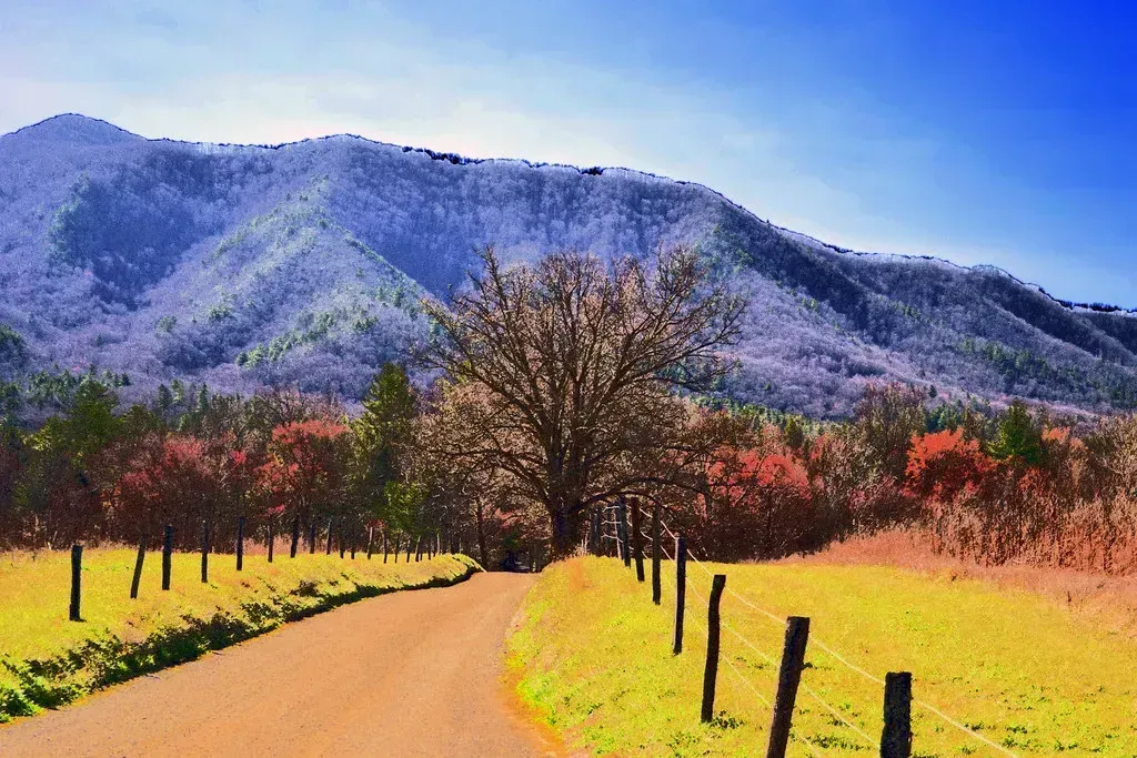 3. Tennessee (Image Credits: Flickr)