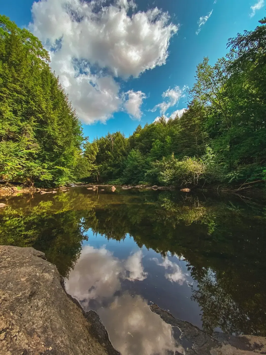 4. Vermont: Small State, Giant Climate Credentials (Image Credits: Unsplash)