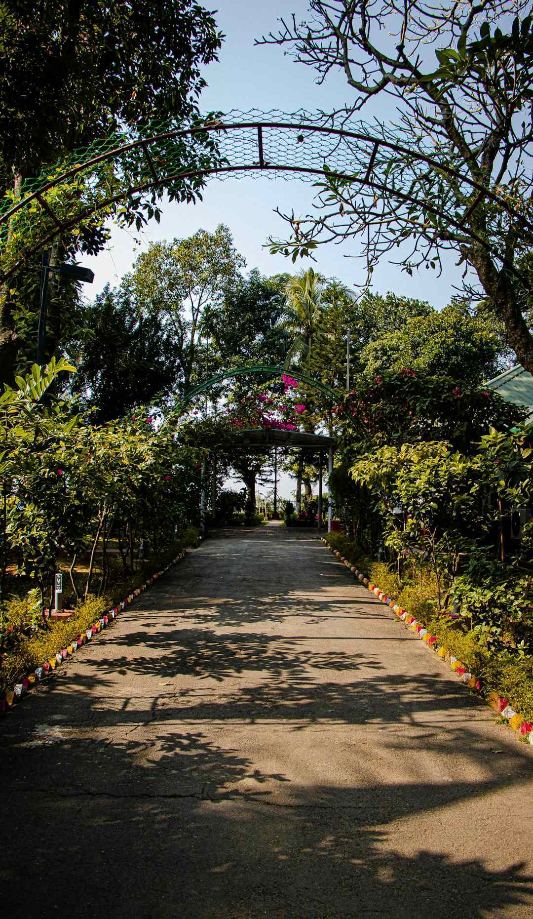 New Access Programs And Resident-Only Free Days (Image Credits: Unsplash)