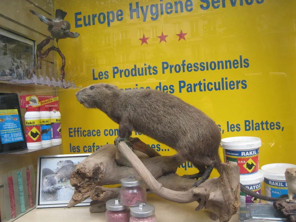 The Cleanliness Issue Nobody Wants to Discuss (Image Credits: Flickr)