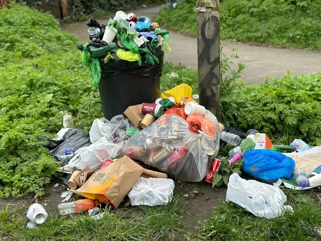 Messed-Up Orders Go in the Trash, Not to Employees (Image Credits: Unsplash)