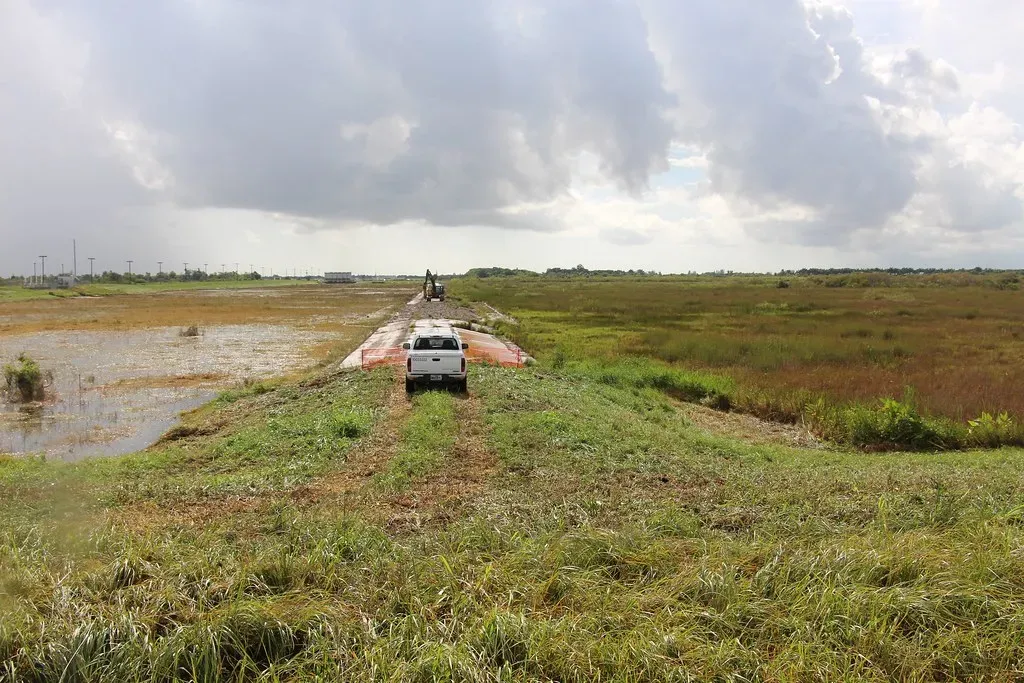 7. Florida: The Sunshine State's Hidden Water Emergency (Image Credits: Flickr)