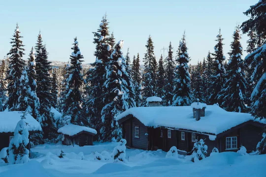 Alaska: The Last Frontier's High Frontier Prices (Image Credits: Unsplash)