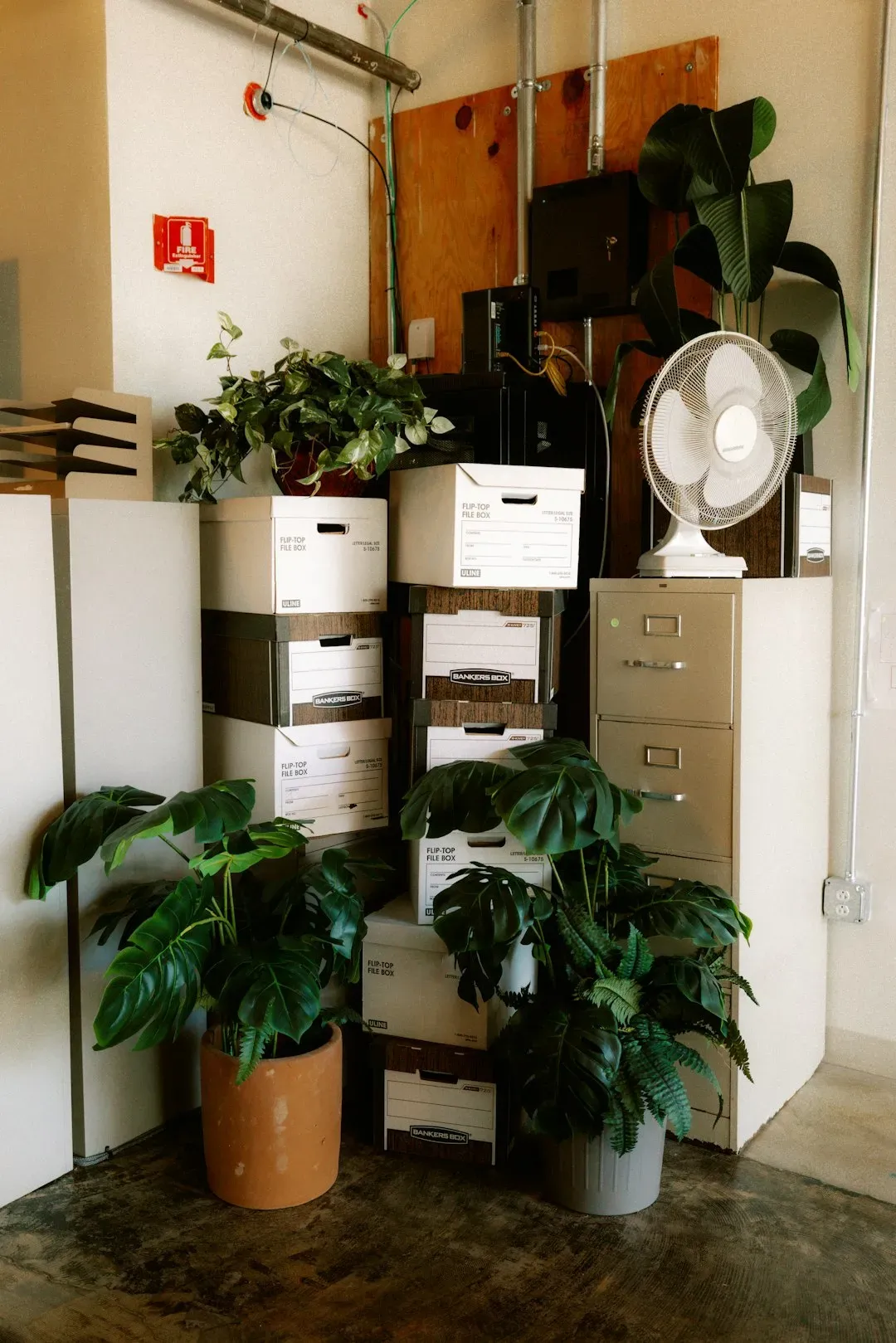Excess Indoor Plants (Yes, Really) (Image Credits: Unsplash)