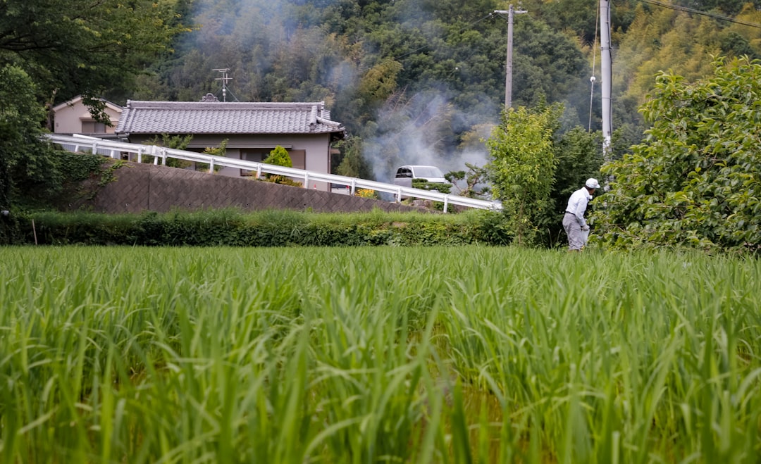 Japan's Staggering Sixty Percent Food Import Dependency (Image Credits: Unsplash)