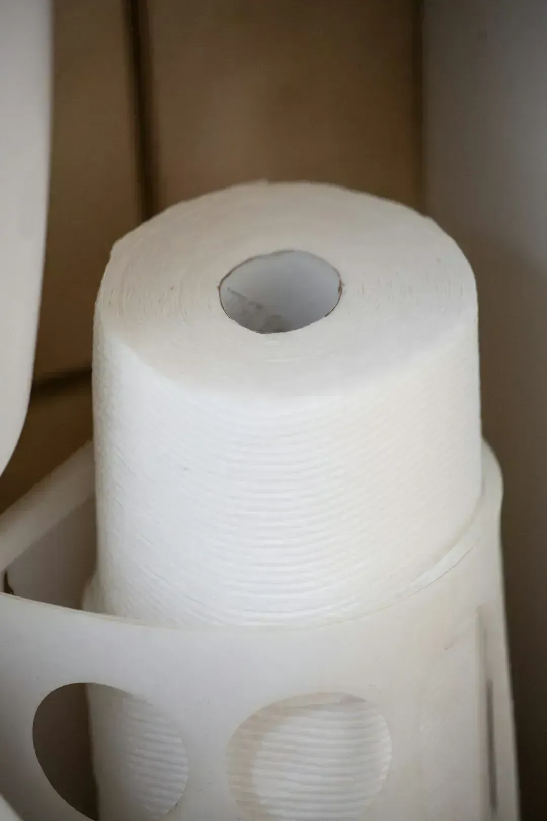 Paper Products Beyond Toilet Paper (Image Credits: Unsplash)
