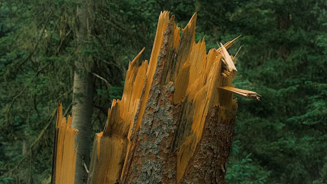 When One Cut Becomes a Million-Dollar Problem (Image Credits: Unsplash)
