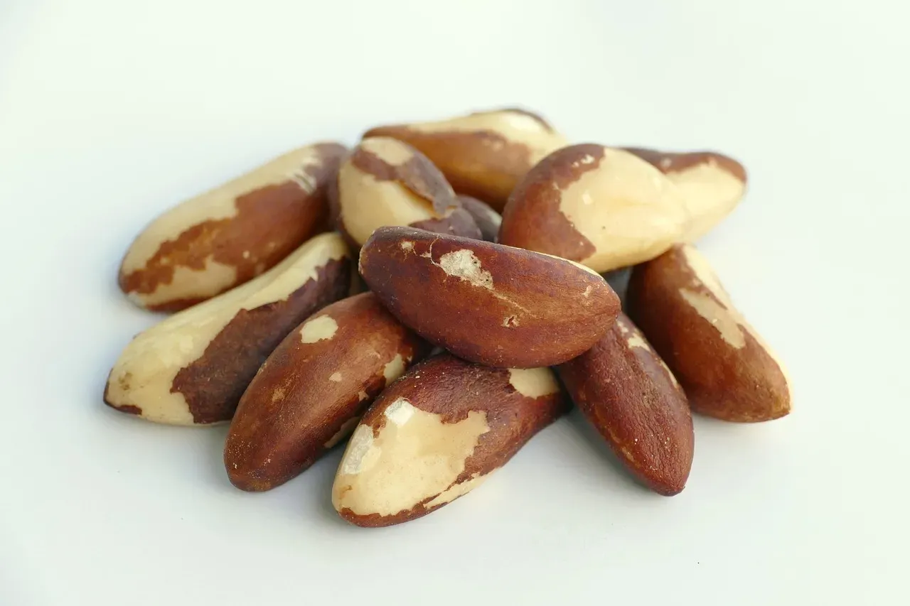 1. Brazil Nuts (Image Credits: Pixabay)