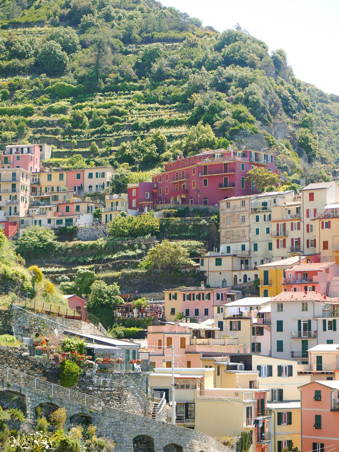 Cinque Terre: Fishing Villages Under Siege (image credits: unsplash)