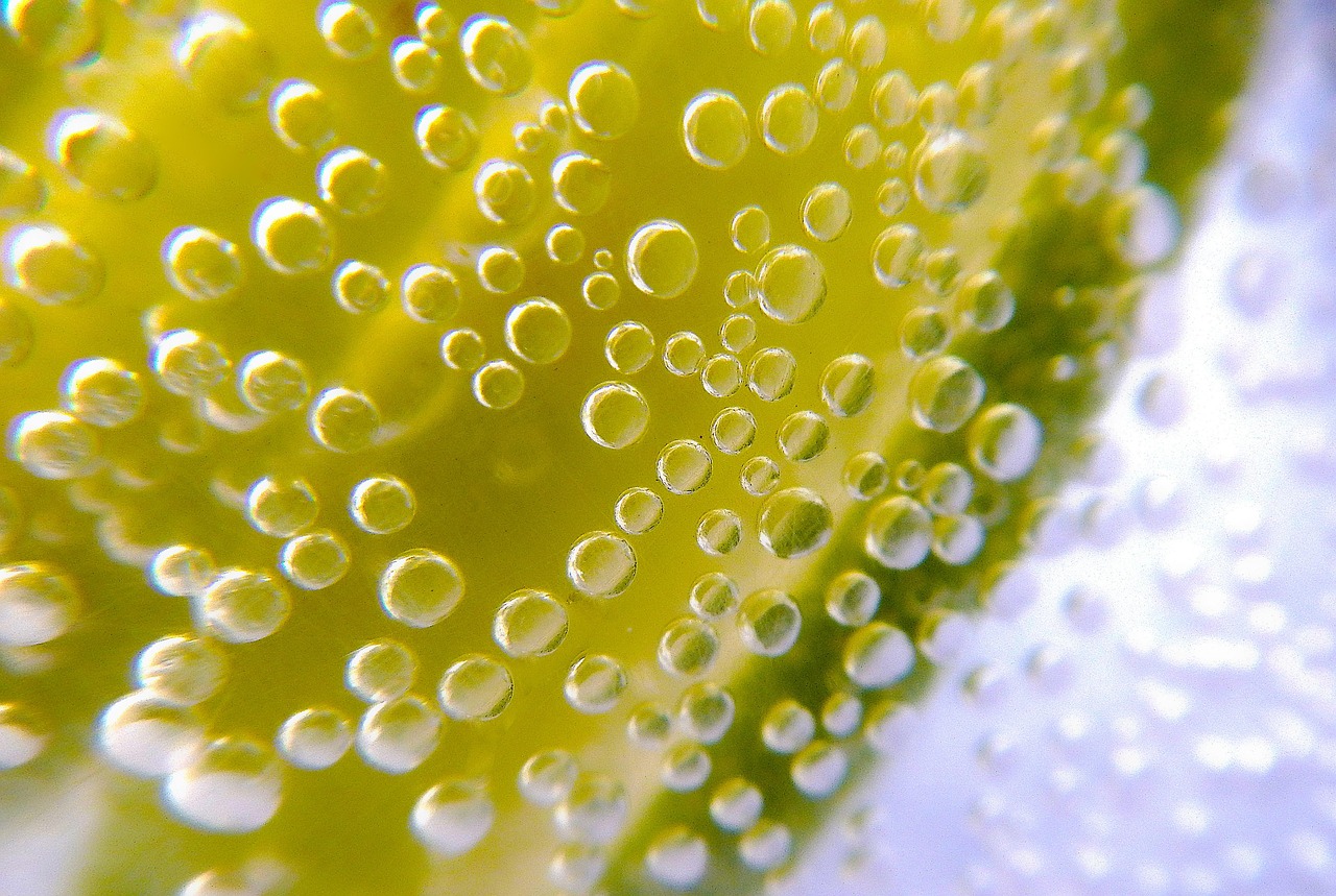 Sprite Remix: The Tropical Twist That Disappeared (Image Credits: Pixabay)