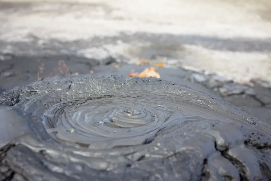 Motor Oil and Gasoline (Image Credits: Unsplash)
