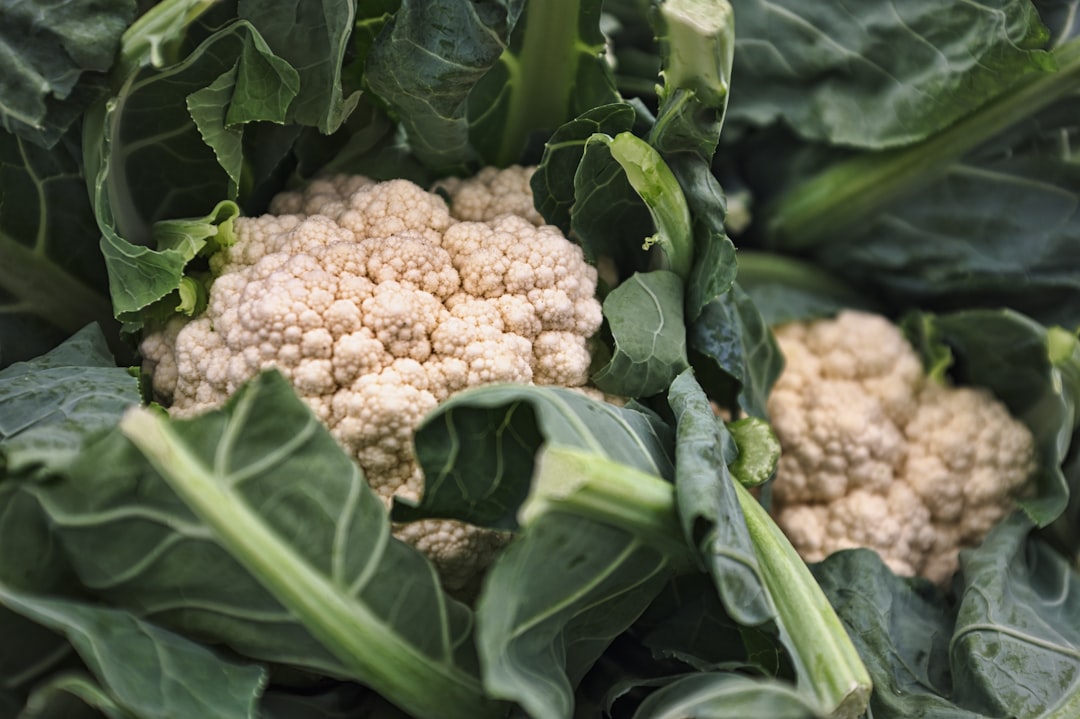 Regional Market Leaders Emerge (image credits: unsplash)