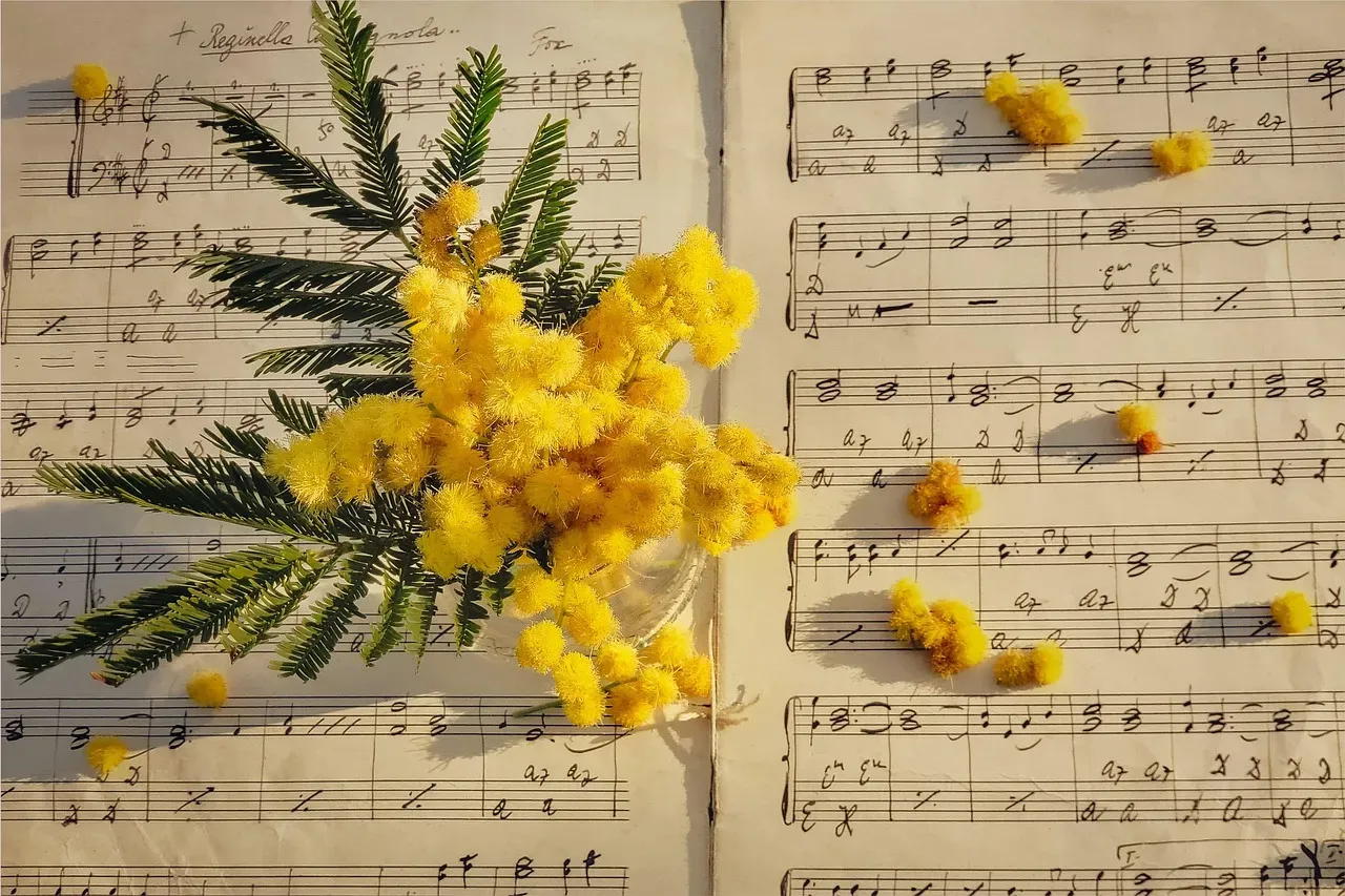 Play Sound That Supports, Not Distracts (Image Credits: Pixabay)