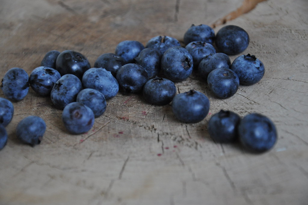 Blueberries - The Brain Food Champions (image credits: flickr)