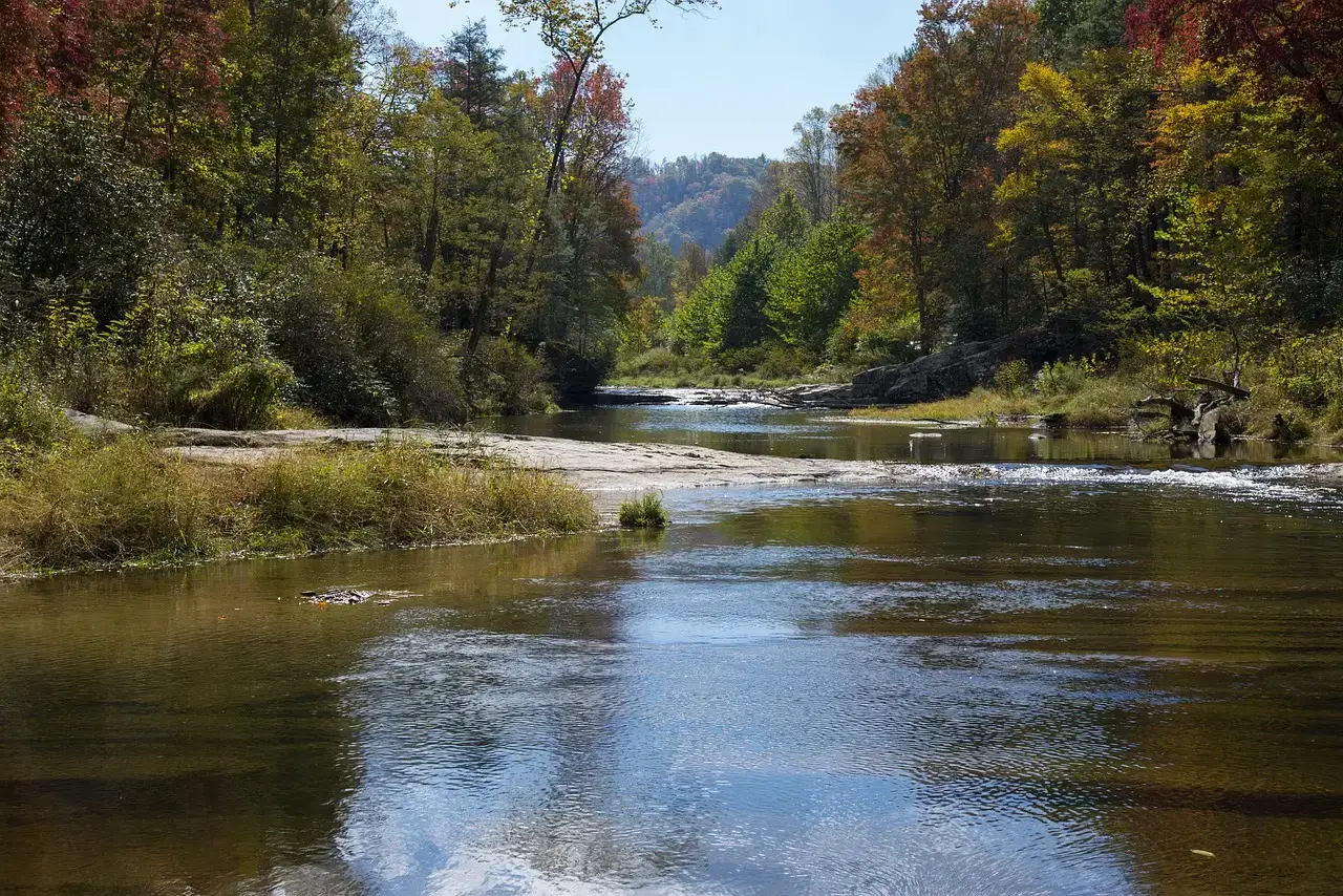 Why North Carolina Won My Heart (Image Credits: Pixabay)