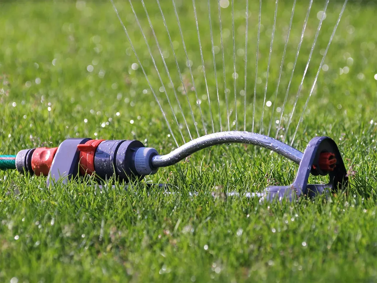 1. Watering Your Lawn Immediately After Mowing (Image Credits: Pixabay)