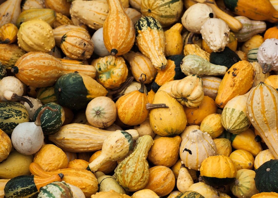 3) Winter Squash (Butternut, Acorn, Spaghetti) (image credits: unsplash)