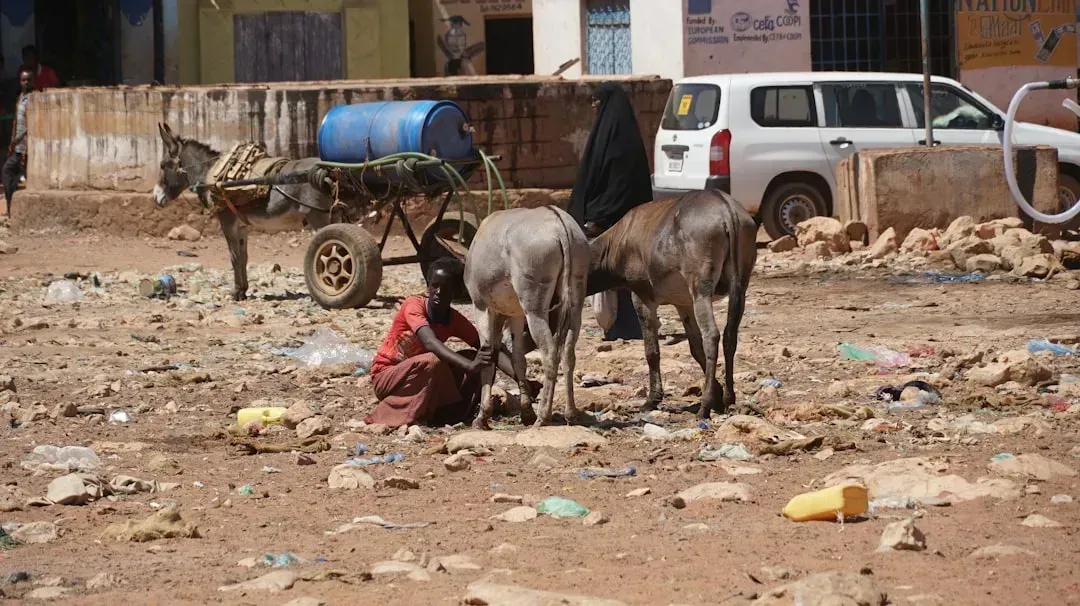 Somalia: Lawlessness on the Horn of Africa (Image Credits: Unsplash)