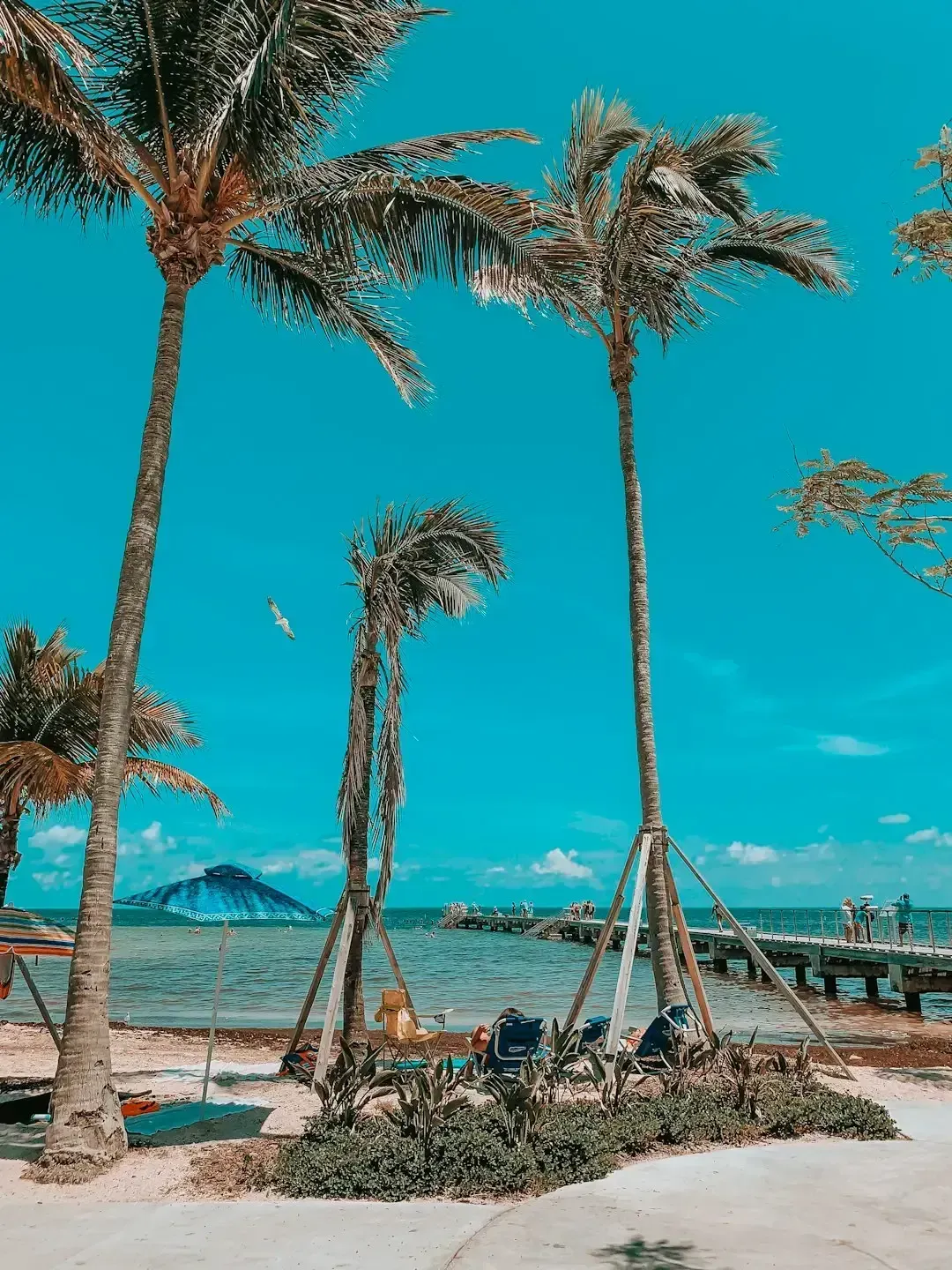 11. Key West, Florida - Paradise With a Very High Entry Fee (Image Credits: Unsplash)